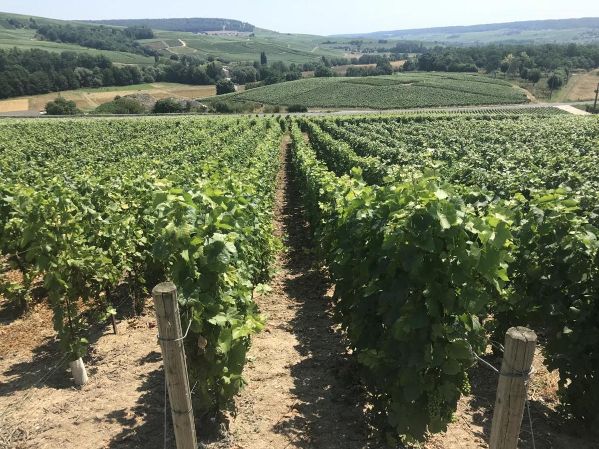 Le Secret De Louise Épernay Exterior foto